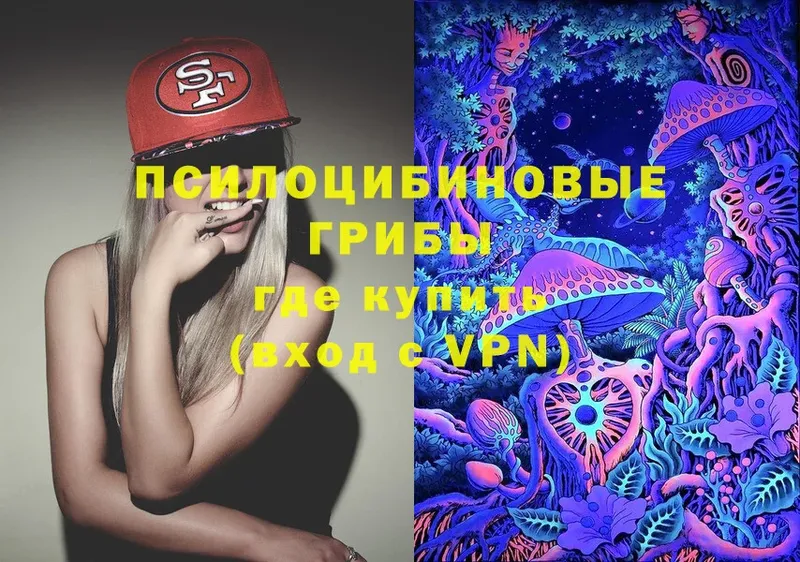 Галлюциногенные грибы MAGIC MUSHROOMS  купить закладку  Большой Камень 